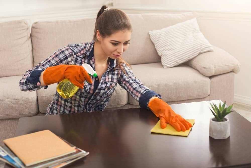 Furniture Cleaning Services In Los Angeles