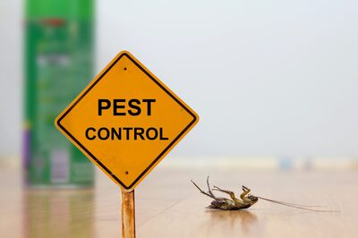 Keep Pests Away