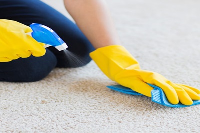 Spot Cleaning Service in Los Angeles, CA