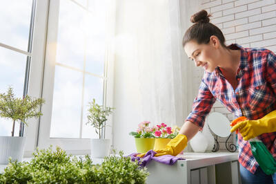 Why Regular Cleaning in Your Apartmentbris Key to Better Health and Well being