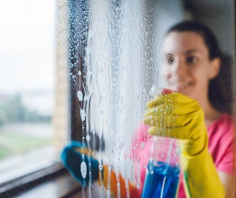 Expert Window Cleaning for Homes