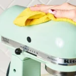 Professionals Deep Clean Appliances