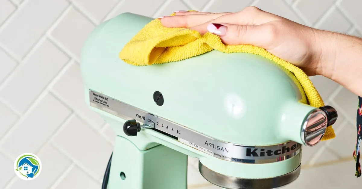 Professionals Deep Clean Appliances